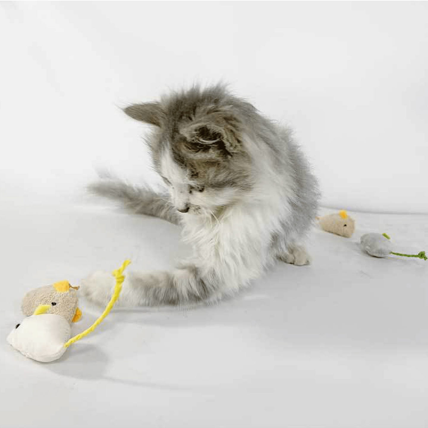 *Pet Toy*Lady N－Catnip Toy (Mouse)－A random color will be shipped. 1 count