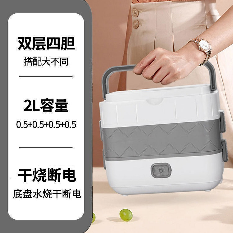 2Lelectric lunch box portable -gray 1 bunch