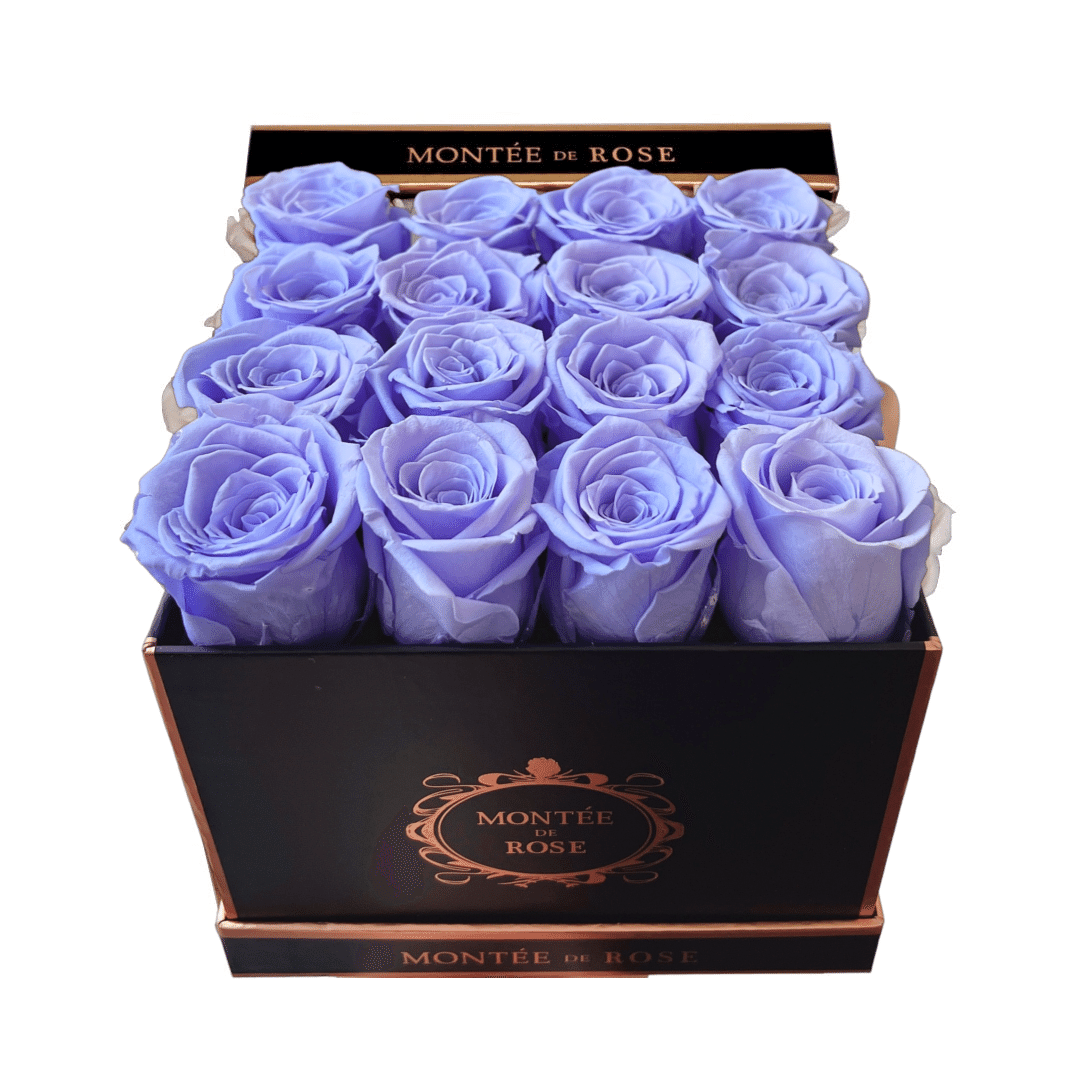 Black Medium Square Lavender 1 each