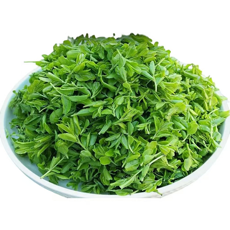 养老爷  酸枣叶芽茶  50g*1罐 50 克