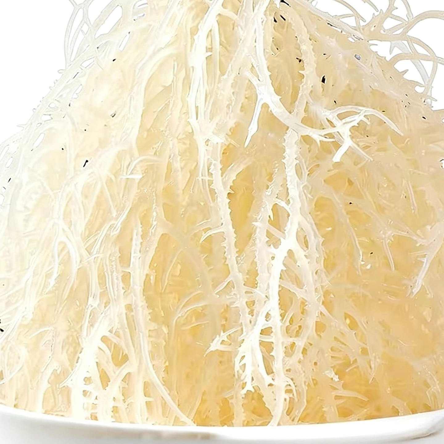 Kai Xiang Dried Dragon Beard Seaweed 1 Bag 500 g