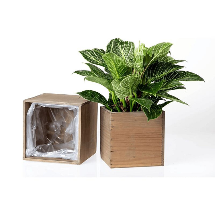 乡村风格木制花盆箱（8x8英寸） 1 个
