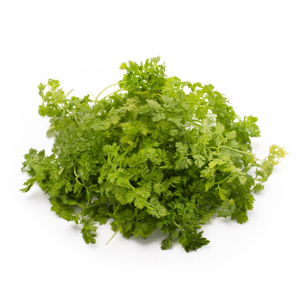 Chervil Herb Weee!