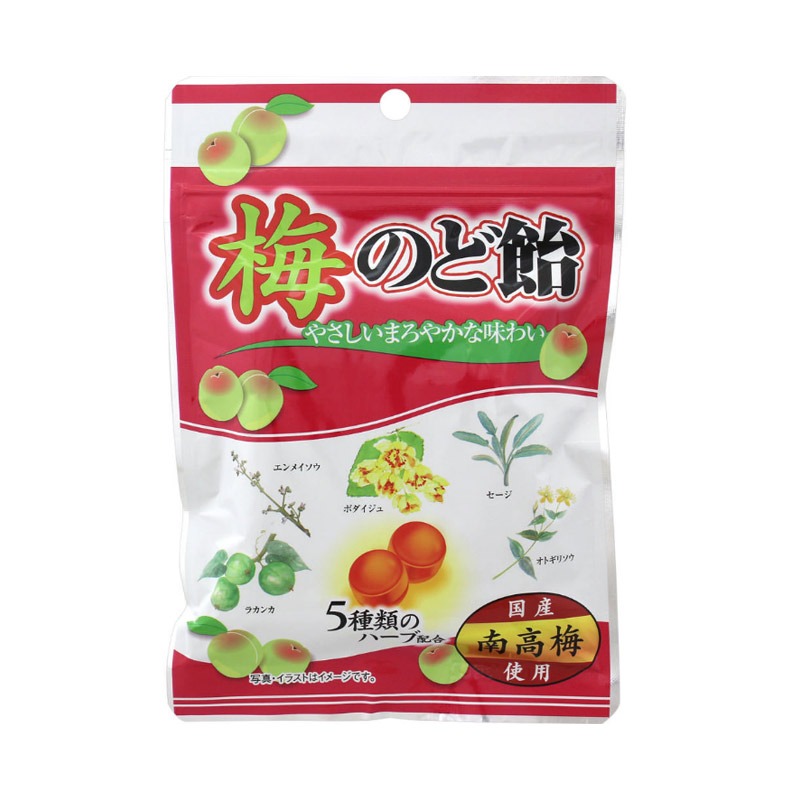 Get Ohkura Seika Plum Lozenges 100 g Delivered Weee! Asian Market