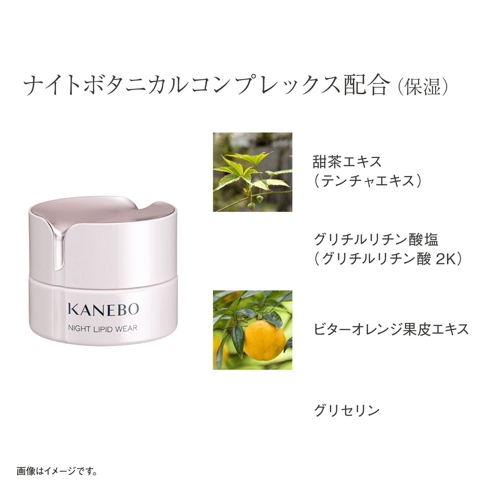 カネボウ ナイトリピッドウェア 40mL カネボウ ナイト リピッド ウェア 40ml 1 個 - Weee!