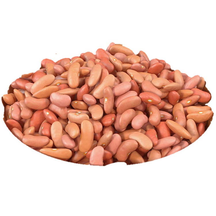 Aiva Light Kidney Beans 4 lb / 64 oz