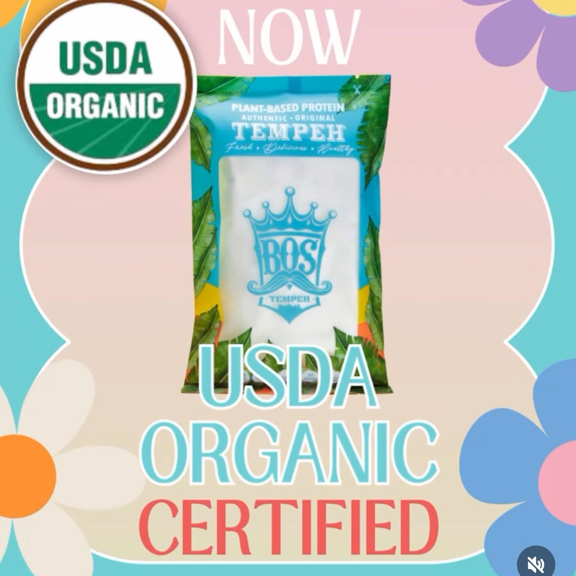 FRESH USDA-Organic Tempeh (5): Organic,GF,Vegan 1 box