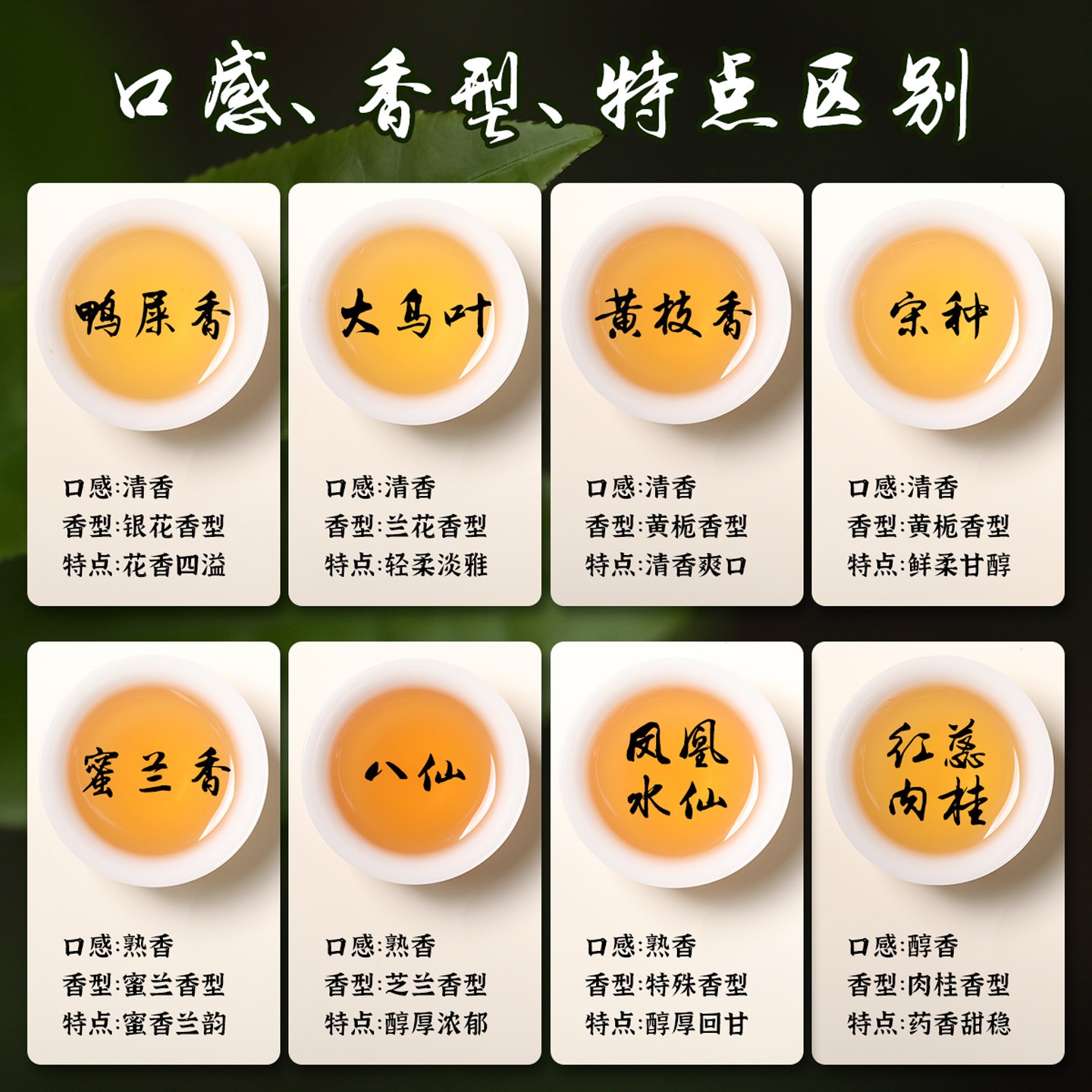Eight Phoenix Single Fir Tea Tasting Samples 64g 64 g - Weee!