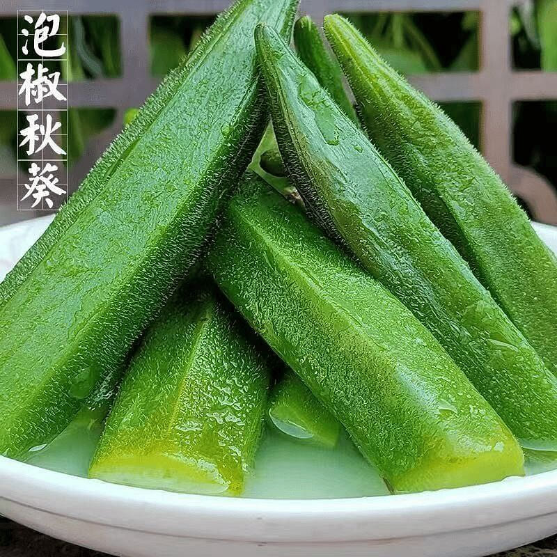 Sour Spicy Pickled Okra, Individual Packs 1 pack*20 pack