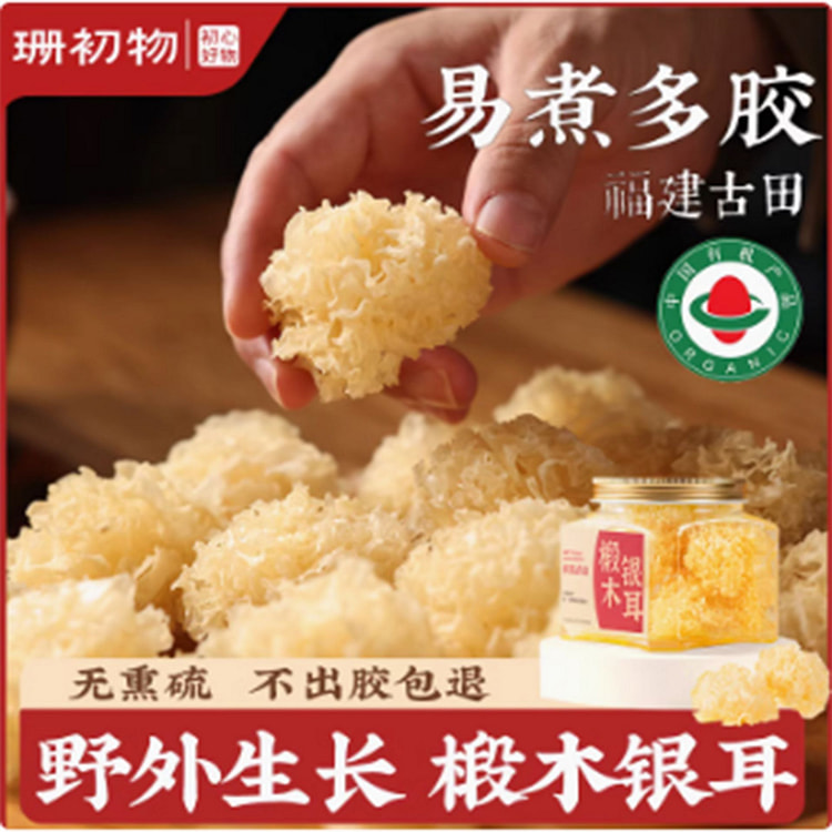 有机椴木小银耳