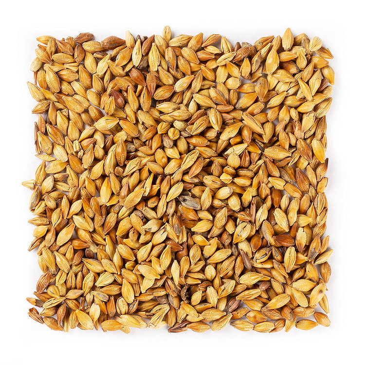 WHF Roasted Barley Tea  #1366 1 each