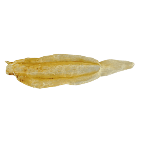 Royalseafood USA Premium Beihai Fish Maw 1pc NO.2 104 g