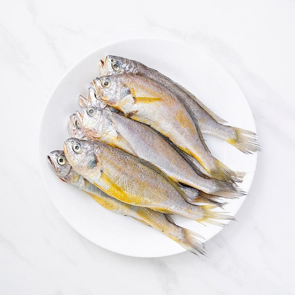 [Jeju Fisherman] Jeju Yellow Croaker (5 fish)