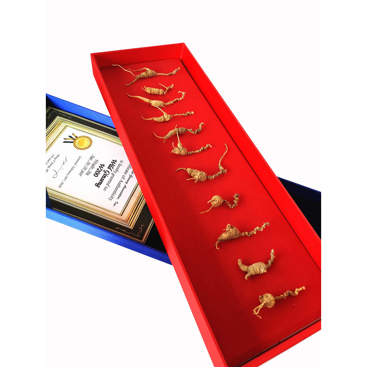 Wisconsin Wild Ginseng – 200 Years of Wild Growth 20 g