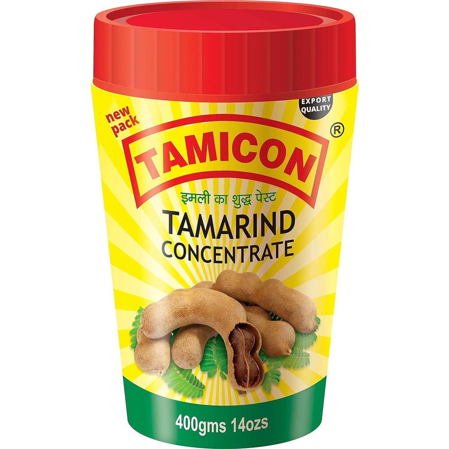 Tamicon Tamarind Concentrate Paste 400 gm 1 each