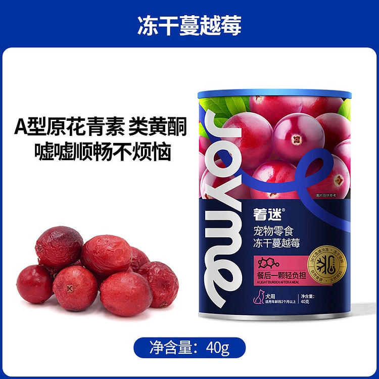 Joyme冻干蔓越莓 狗狗水果零食1瓶 40 克