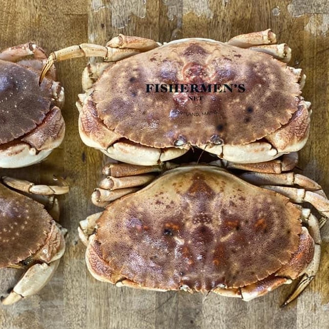 Live Fresh Maine Jonah Crabs 1 케이스