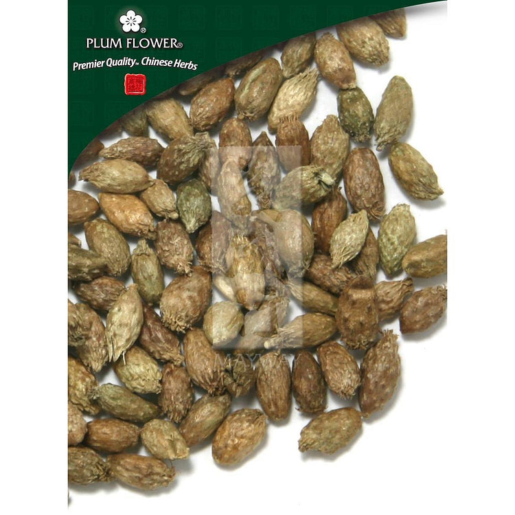 Cang Er Zi, unsulfured Xanthium sibiricum fruit