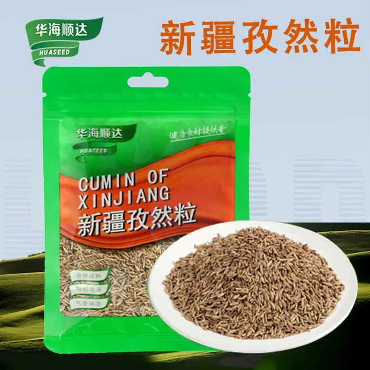 Huahai Shunda cumin granules cooking seasoning1bag 40 g