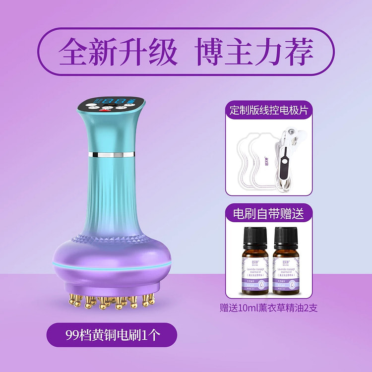 碧芙婷 99档黄铜电动经络刷 全身通用加热刮痧按摩 1 份