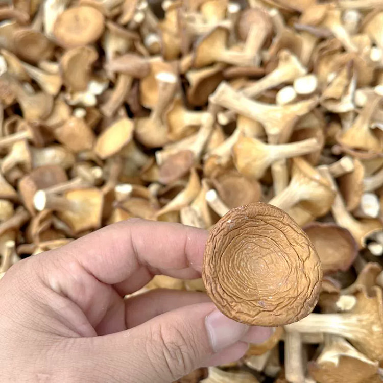 Dried pork belly mushrooms