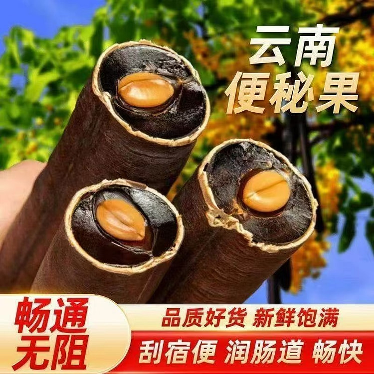 云南野生便秘果大解果正品天然腊肠树果