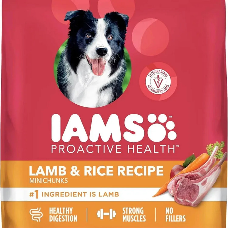 IAMS Proactive Health Minichunks Adult Dry Dog Foo 100 pack