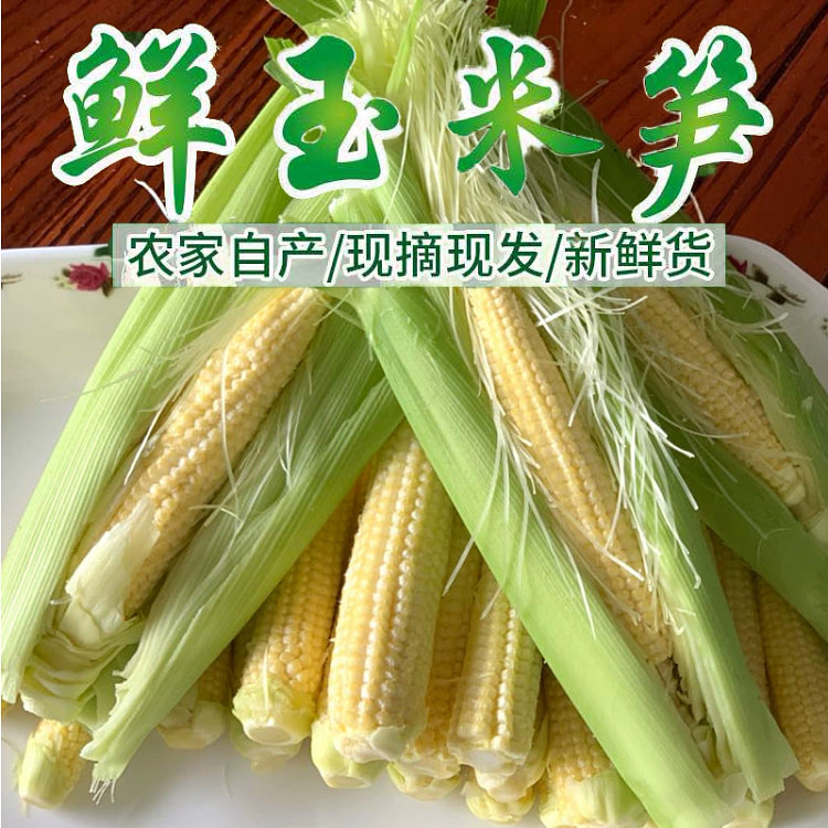 新鲜甜玉米笋现摘500克*1袋