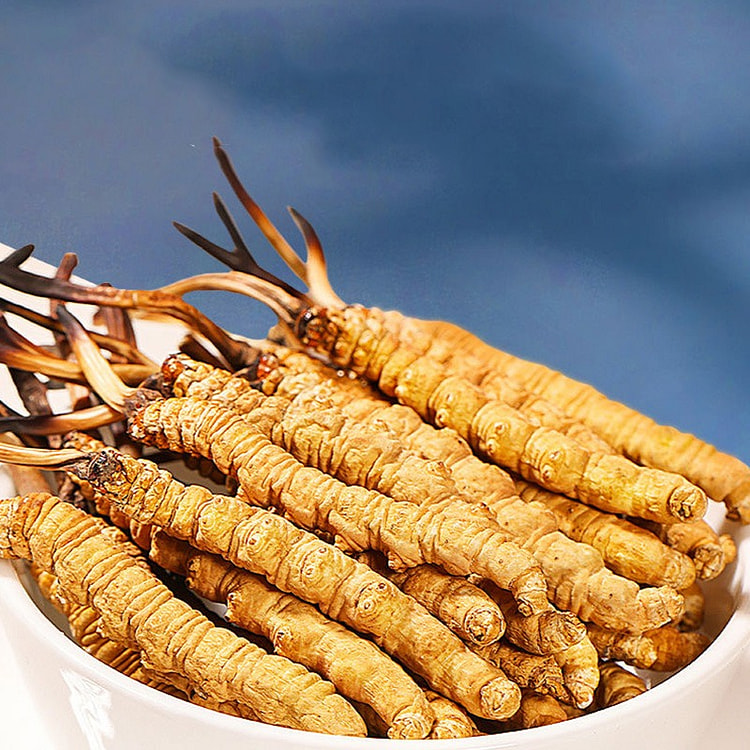 Dried Cordyceps sinensis from Tibet 3 each