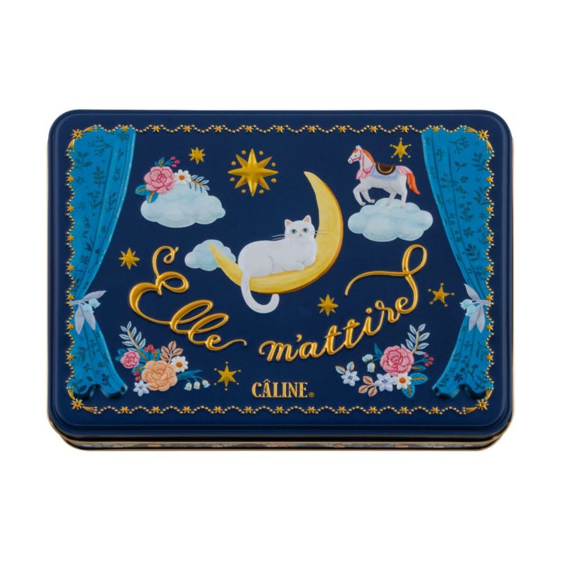Get Morozoff Cat Moon Valentine's Chocolate 15pcs 1 each Delivered