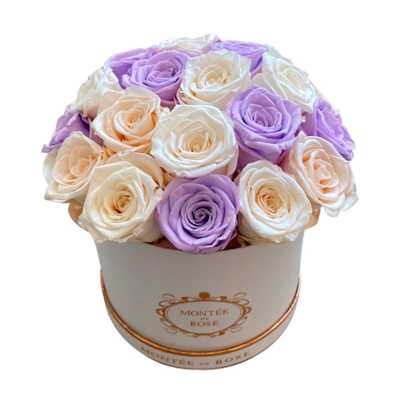 Lilac Dome 1 each
