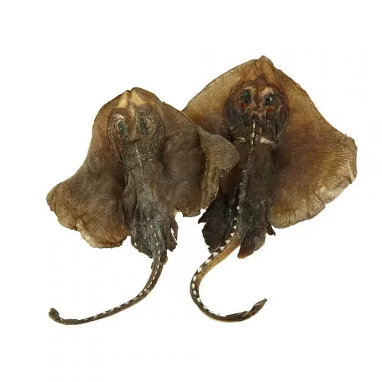 Bulk Boss Dried Fish 500 g