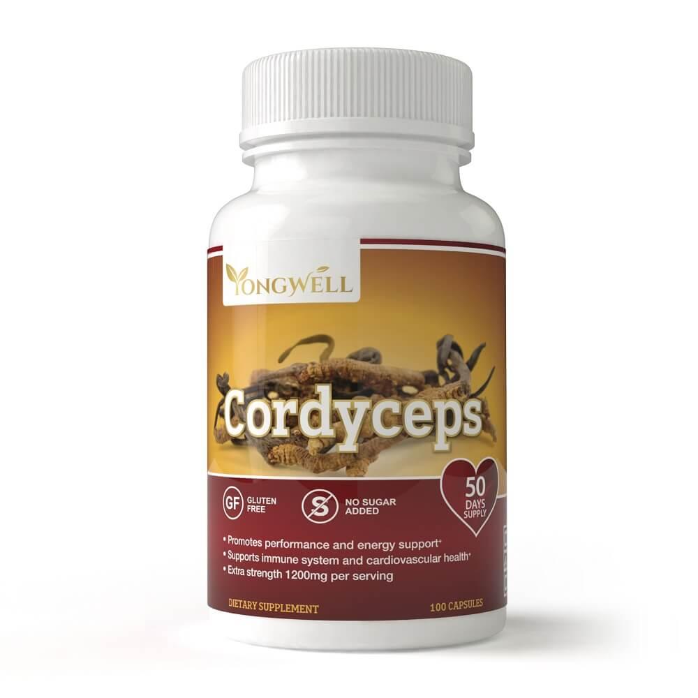 Cordyceps Militaris Extract 50% Polysaccharides - High Strength Formula With Cordycepic Acid 0 5 Cordycepin 120 Capsule Pouch 120 Count Pack Of 1