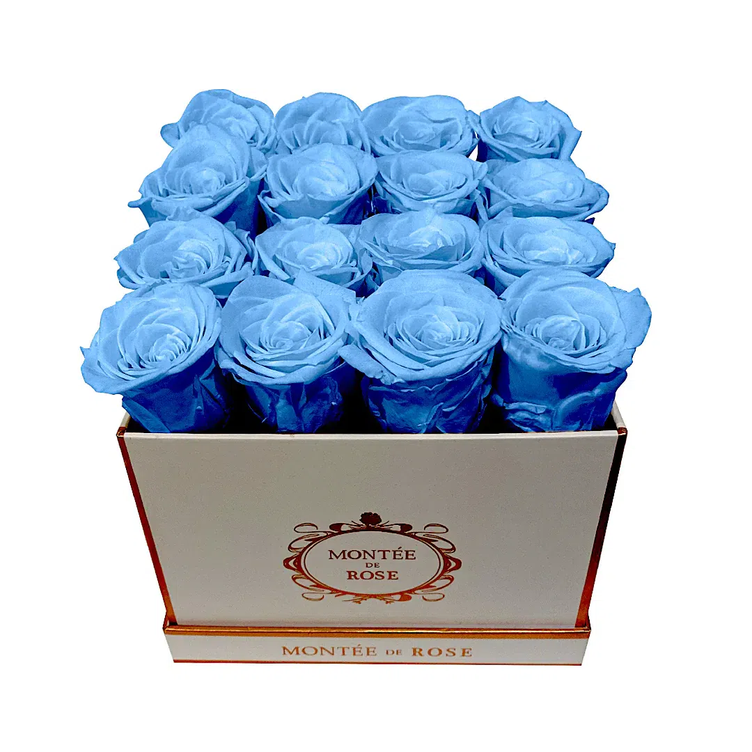 White Medium Square Sky Blue 1 each