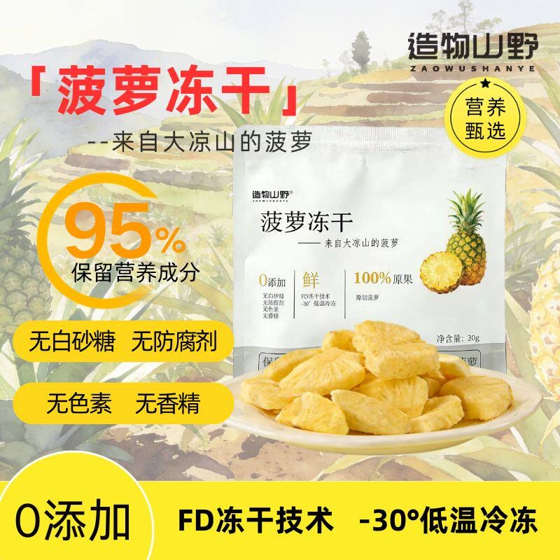 Dried Pineapple Slices (FD Freeze-Dried), 30g 1 pack