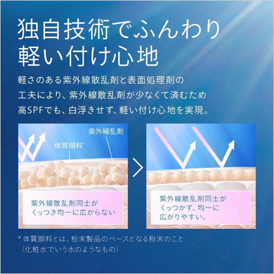 アネッサ パーフェクトuv ブラッシュオンパウダー 3 g - Weee!