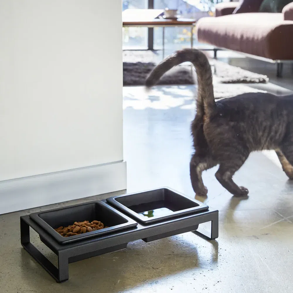 Pet Food Bowl Short / Black 1 個