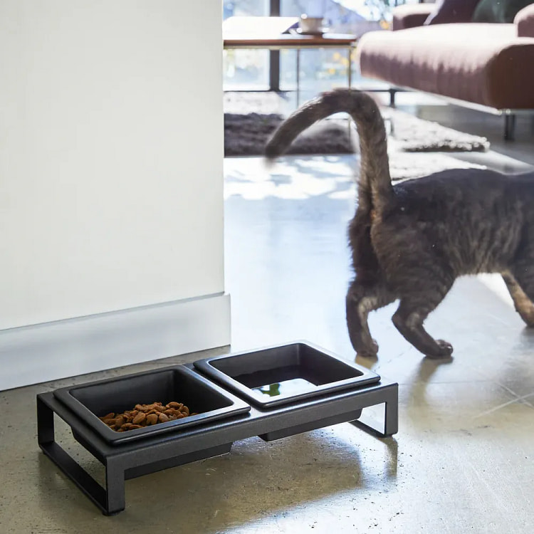 Pet Food Bowl Short / Black