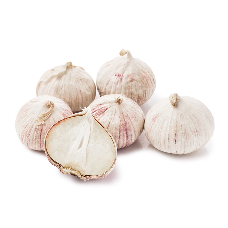 Purple Pearl Garlic 8 oz