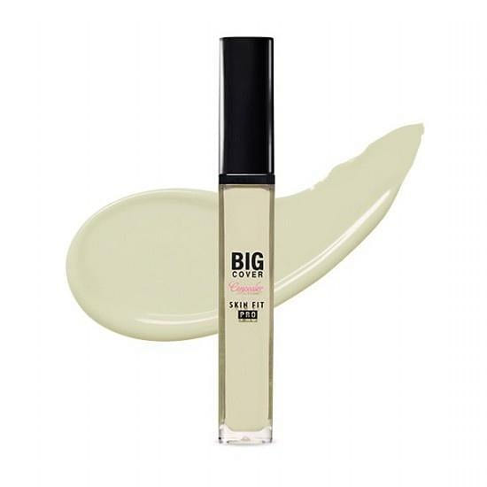 [EtudeHouse] Big Cover Skin Fit Concealer PRO 7g Neutral Mint 1 each