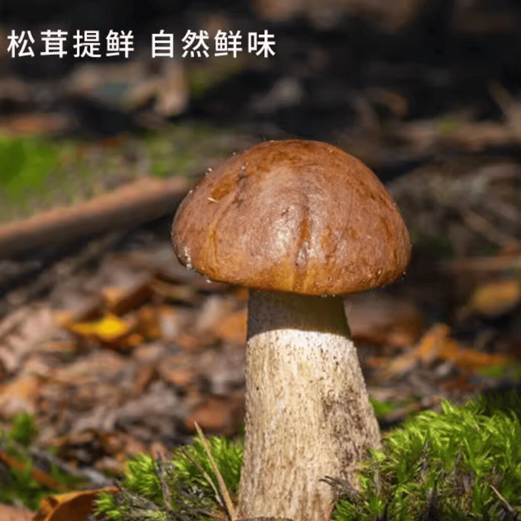 Authentic Fresh Matsutake 100g * 1 Pack 1 pack - Weee!