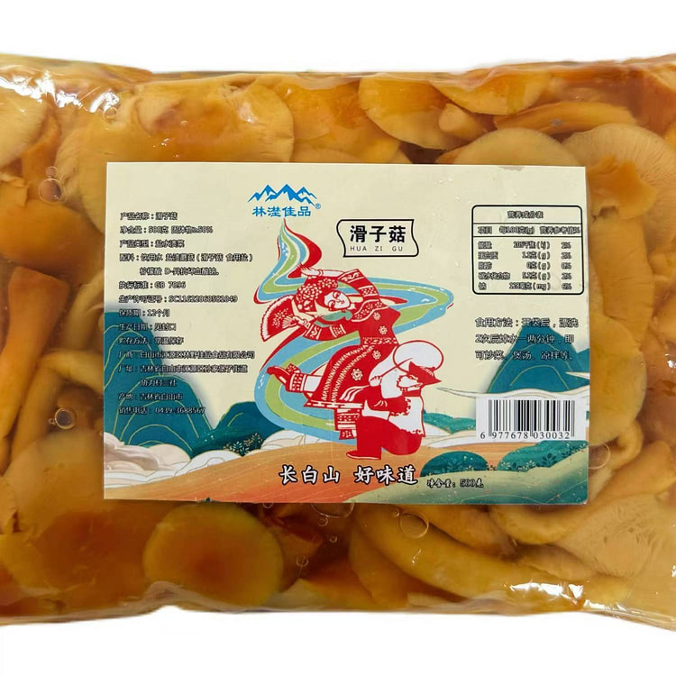东北新鲜滑子蘑煲汤火锅凉拌滑子菇食用500g袋可口土特产开胃