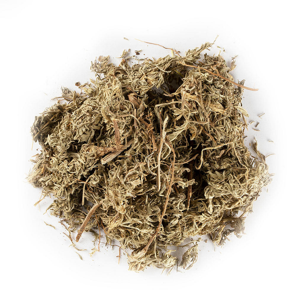 Virgate Wormwood Herb / Mian Yin Chen (8oz) 1 each