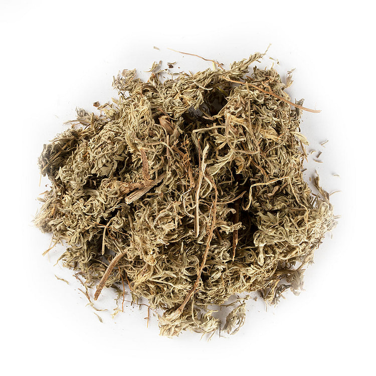绵茵陈 茵陈蒿 8盎司 1 份