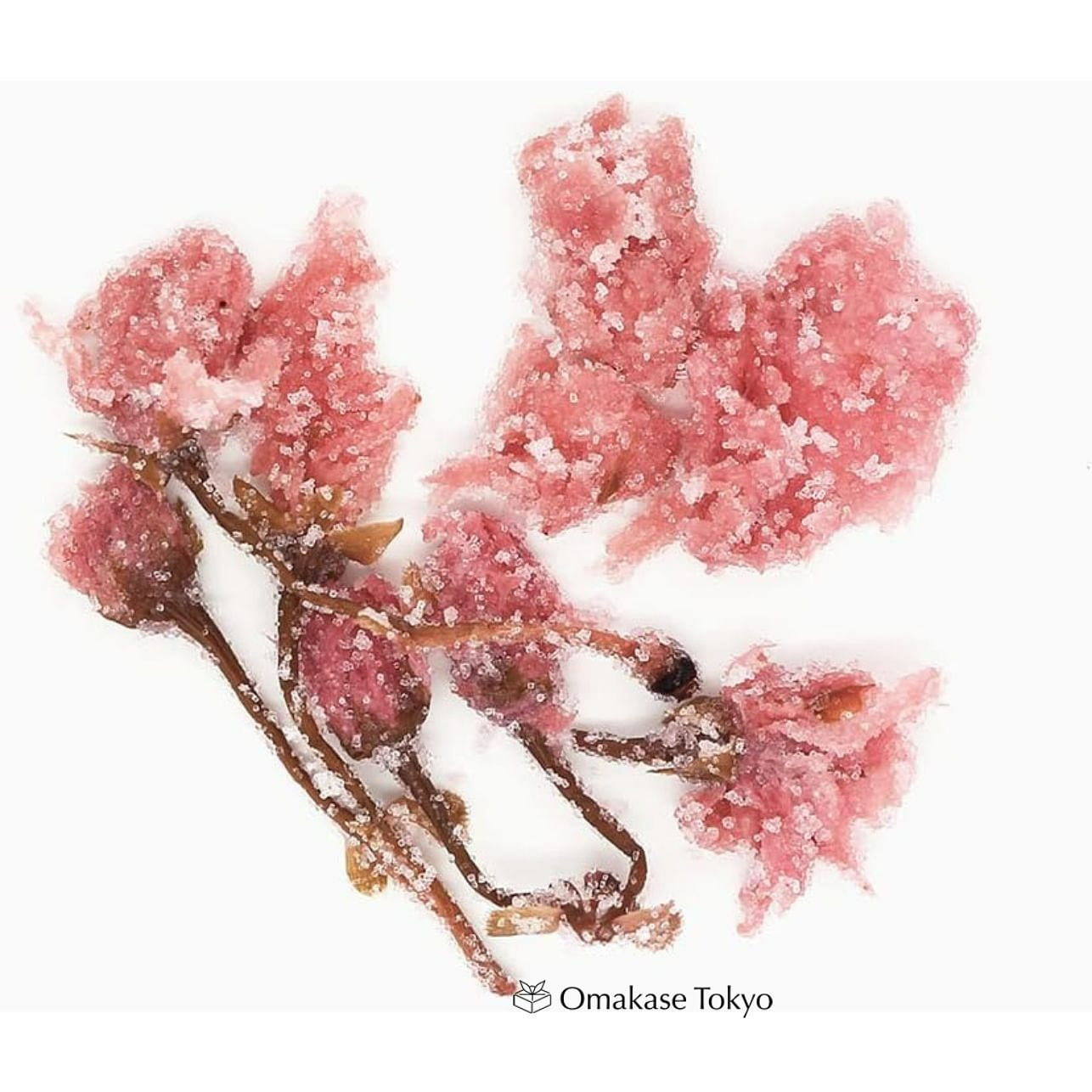 Salt Pickled Sakura Cherry Blossoms 60g 60 g