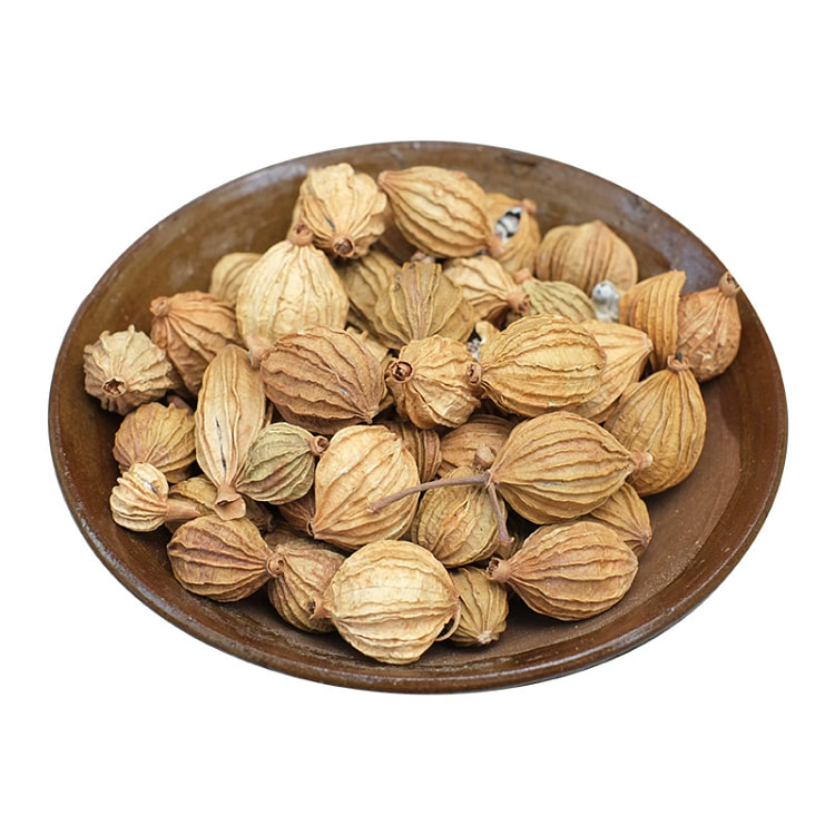瓶装香砂仁50g*1