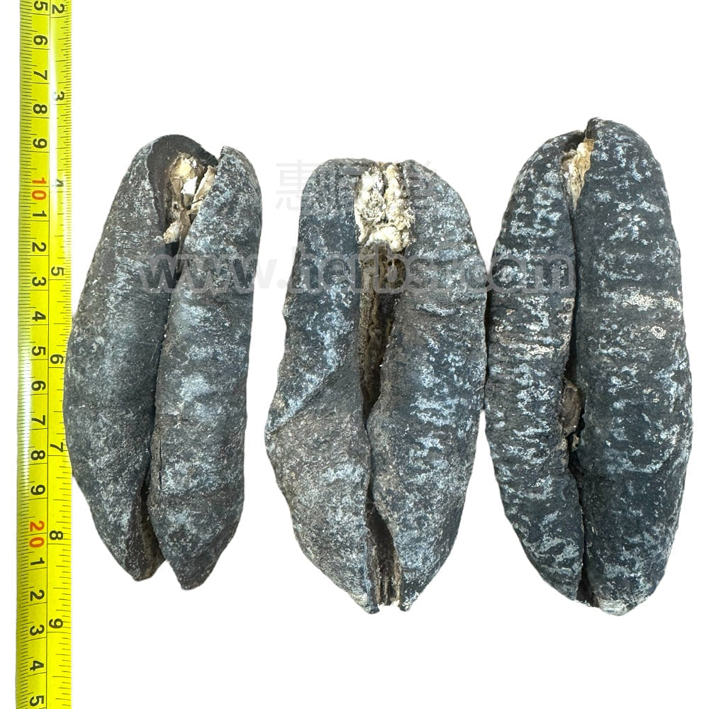 HMT Australian Sea Cucumbers Dried 400g Zhu Po Shen 3-4 Pcs 1 each