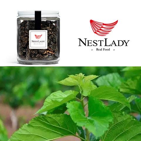 NESTLADY 三高を下げる くさの葉茶 - Weee!
