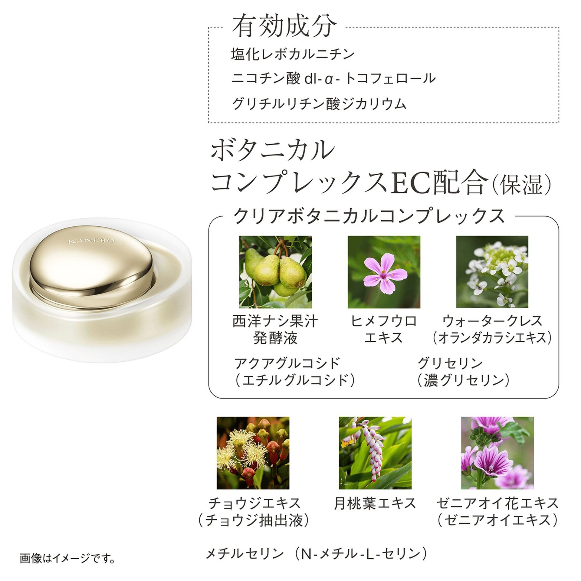 カネボウ ザ クリーム 40ml 1 個 - Weee!