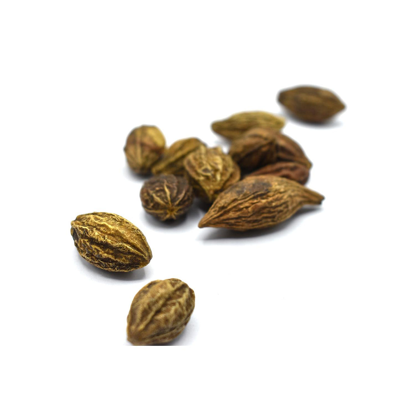 HE ZI – Myrobalan Fruit – Custom Amount 1lb (454g) 1 each